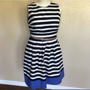 Charter Club Striped Pleated Fit & Flare Dress Size 8 New NWOT Blue White